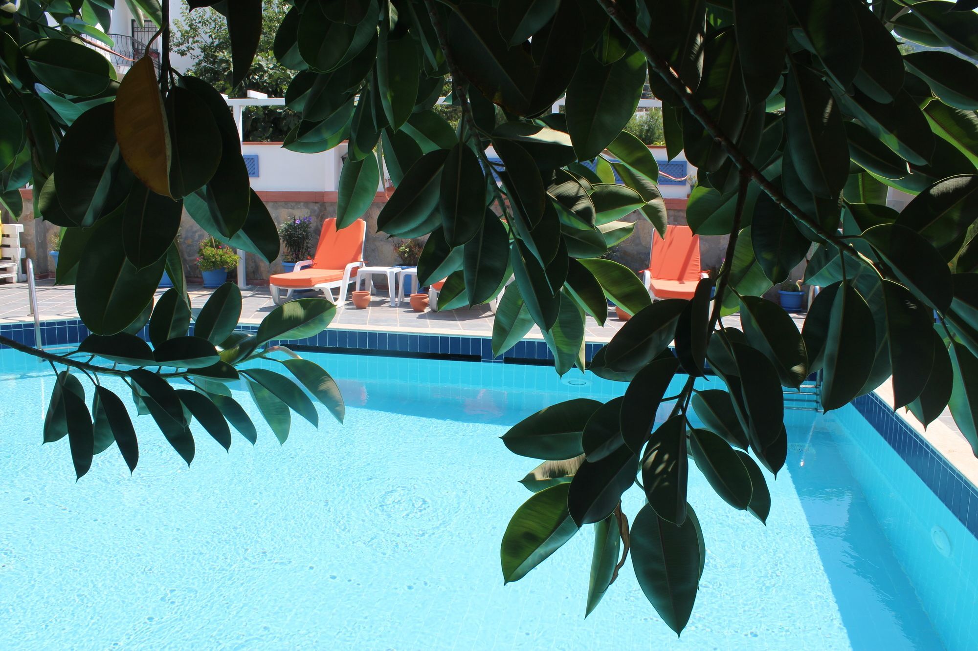 Oya Boutique Otel And Suites Bodrum ภายนอก รูปภาพ