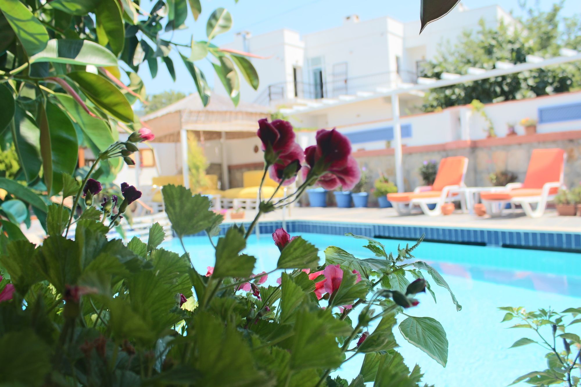 Oya Boutique Otel And Suites Bodrum ภายนอก รูปภาพ