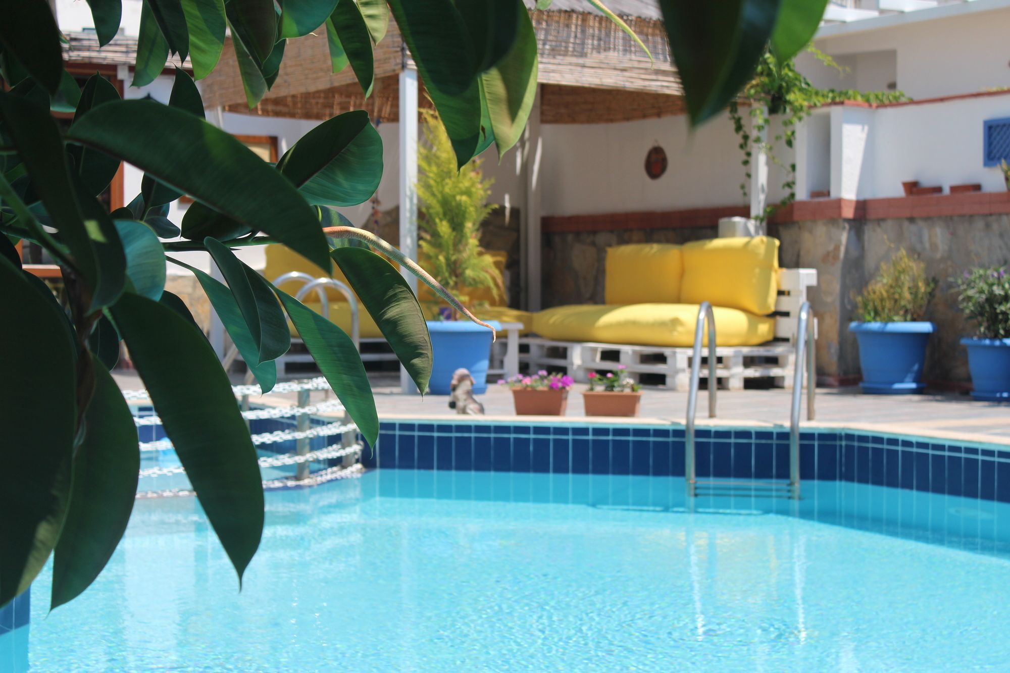 Oya Boutique Otel And Suites Bodrum ภายนอก รูปภาพ